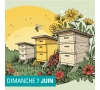 Découverte de l'Apiculture