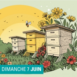 Découverte de l'Apiculture