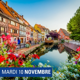 Visite guidée de Colmar
