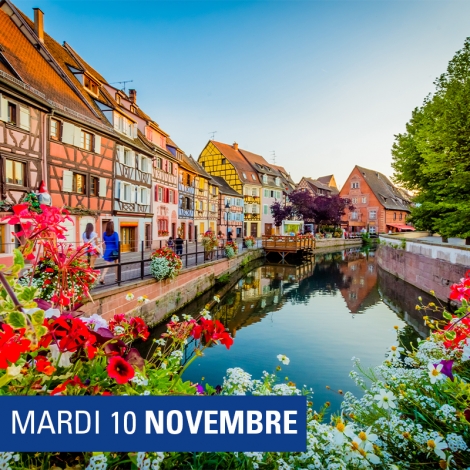 Visite guidée de Colmar